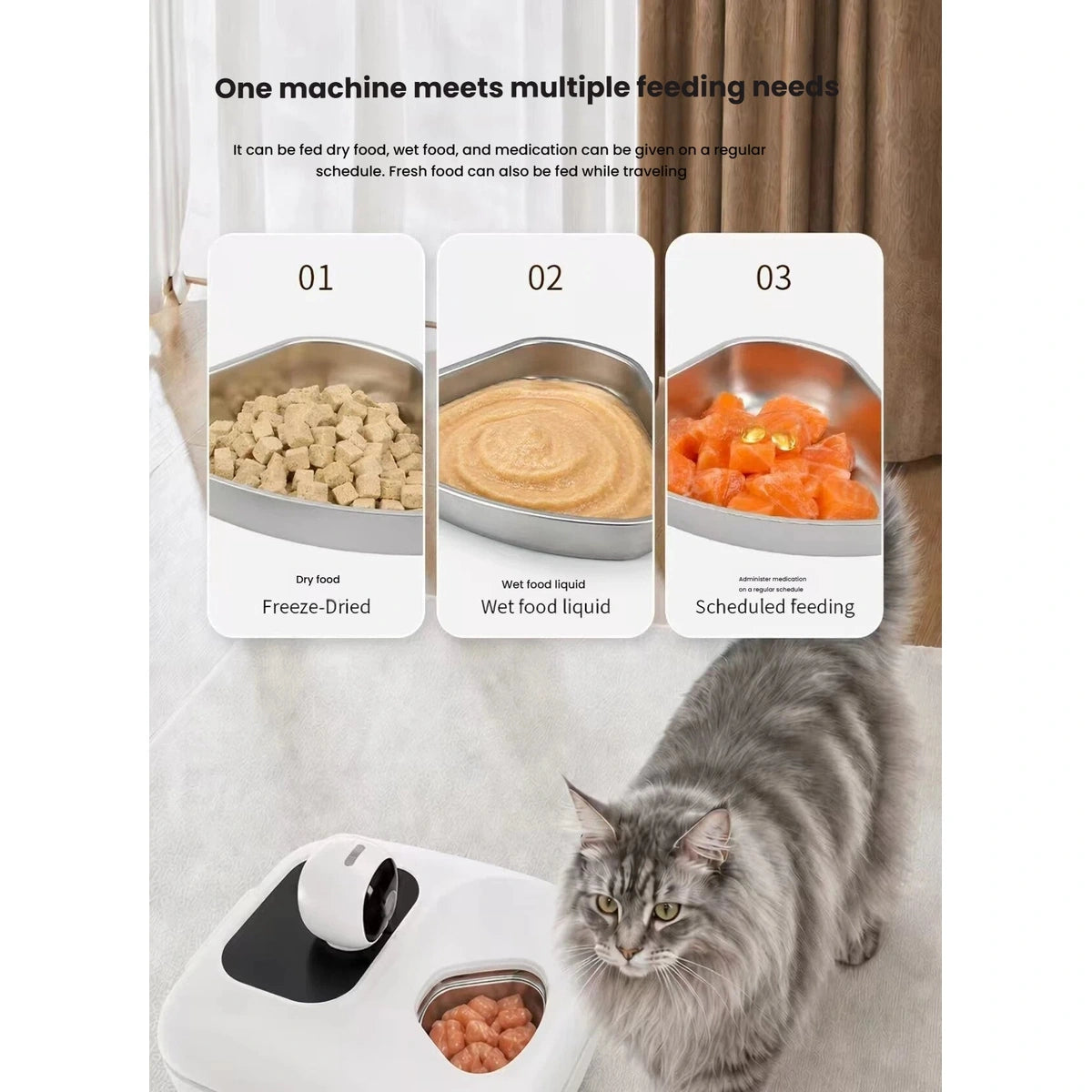 別々の猫用フードの分量例