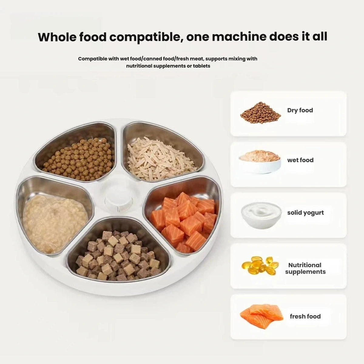 Naipet rotating tray with four compartments and examples of wet and dry food