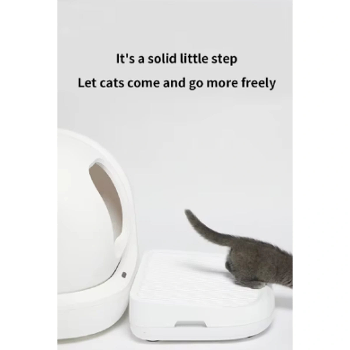 Cat stepping across the PETKIT litter trapper