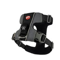 Black EzyDog X-Link harness with padded chest panel and metal lead ring