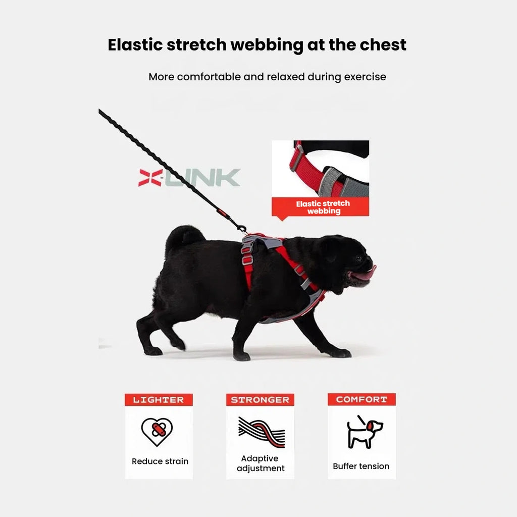 X-Link elastic girth strap illustrated on a black dog