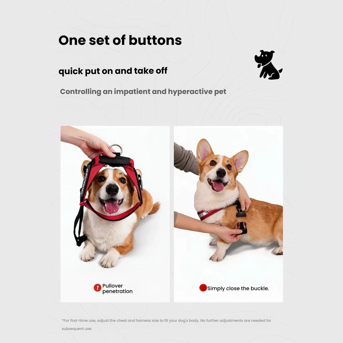 EzyDog Express Dog Harness.