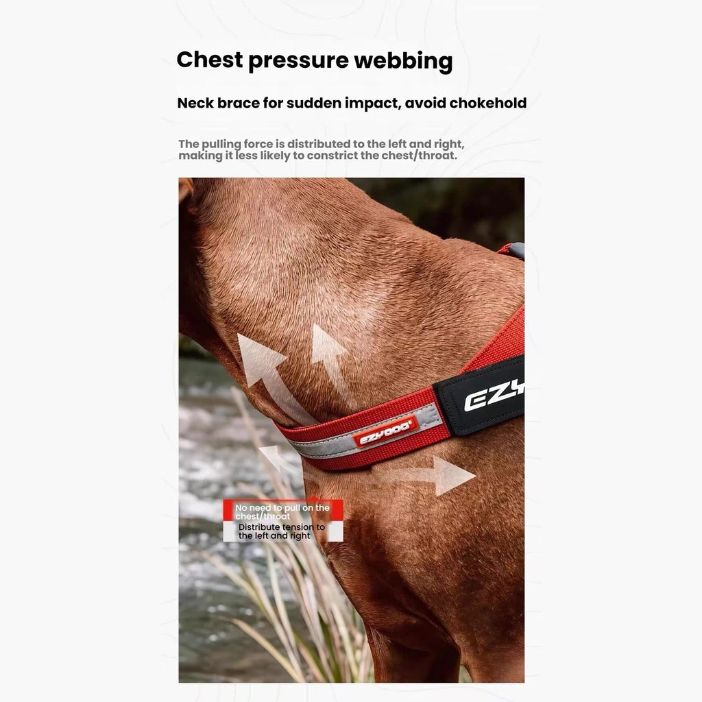 EzyDog Express Dog Harness.