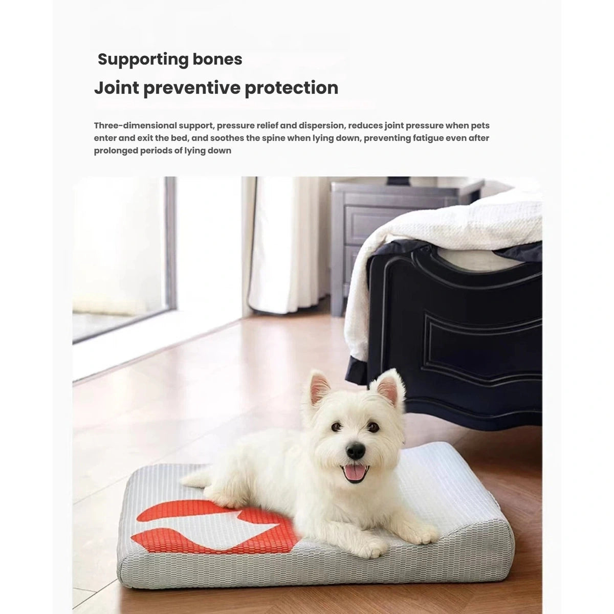Small white dog lying on the Petstar contoured bed
