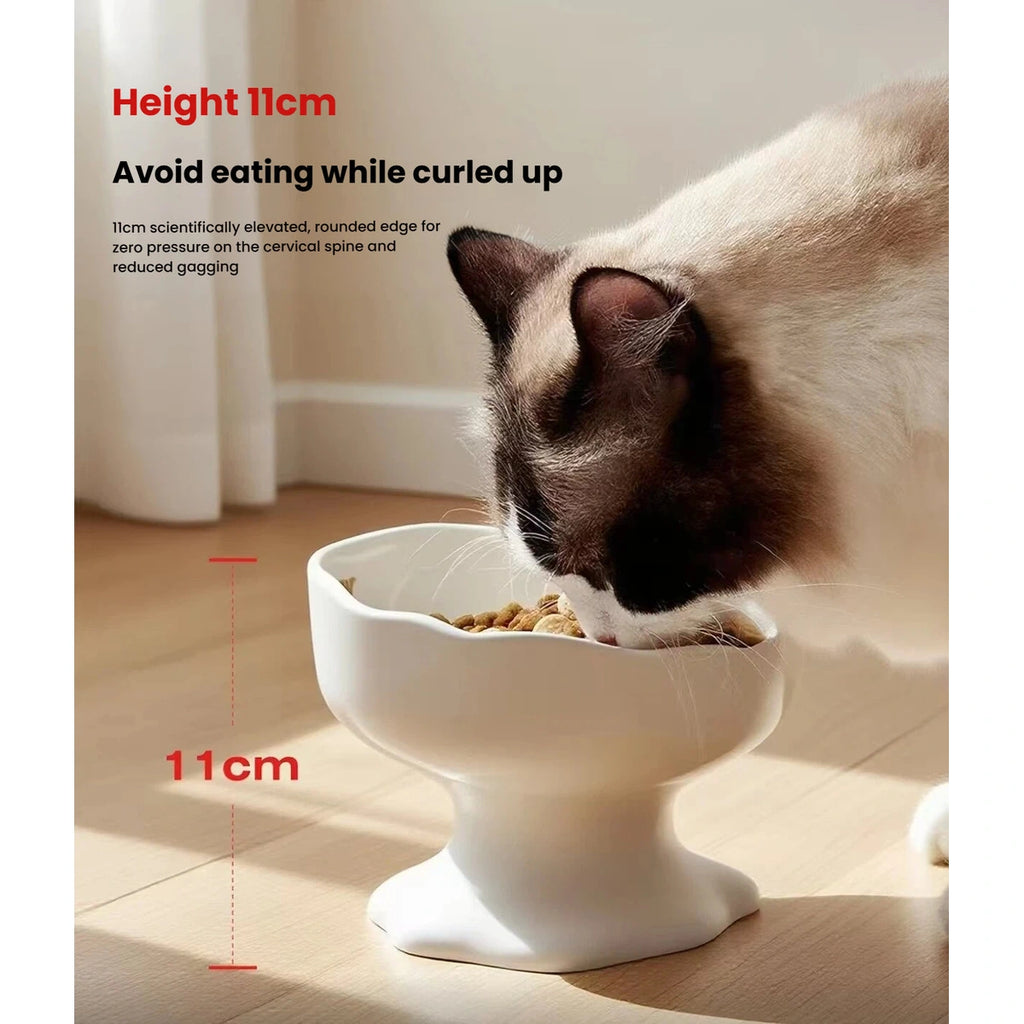 Cat eating from the Petstar bowl beside an 11 cm height label
