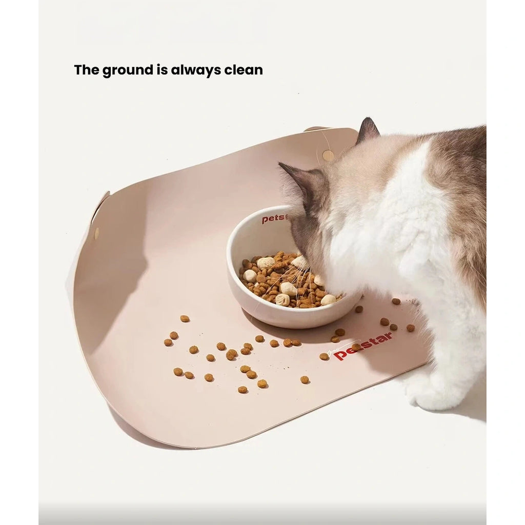 Petstar Elevated Ceramic Cat & Dog Bowl, Non-Spill Design