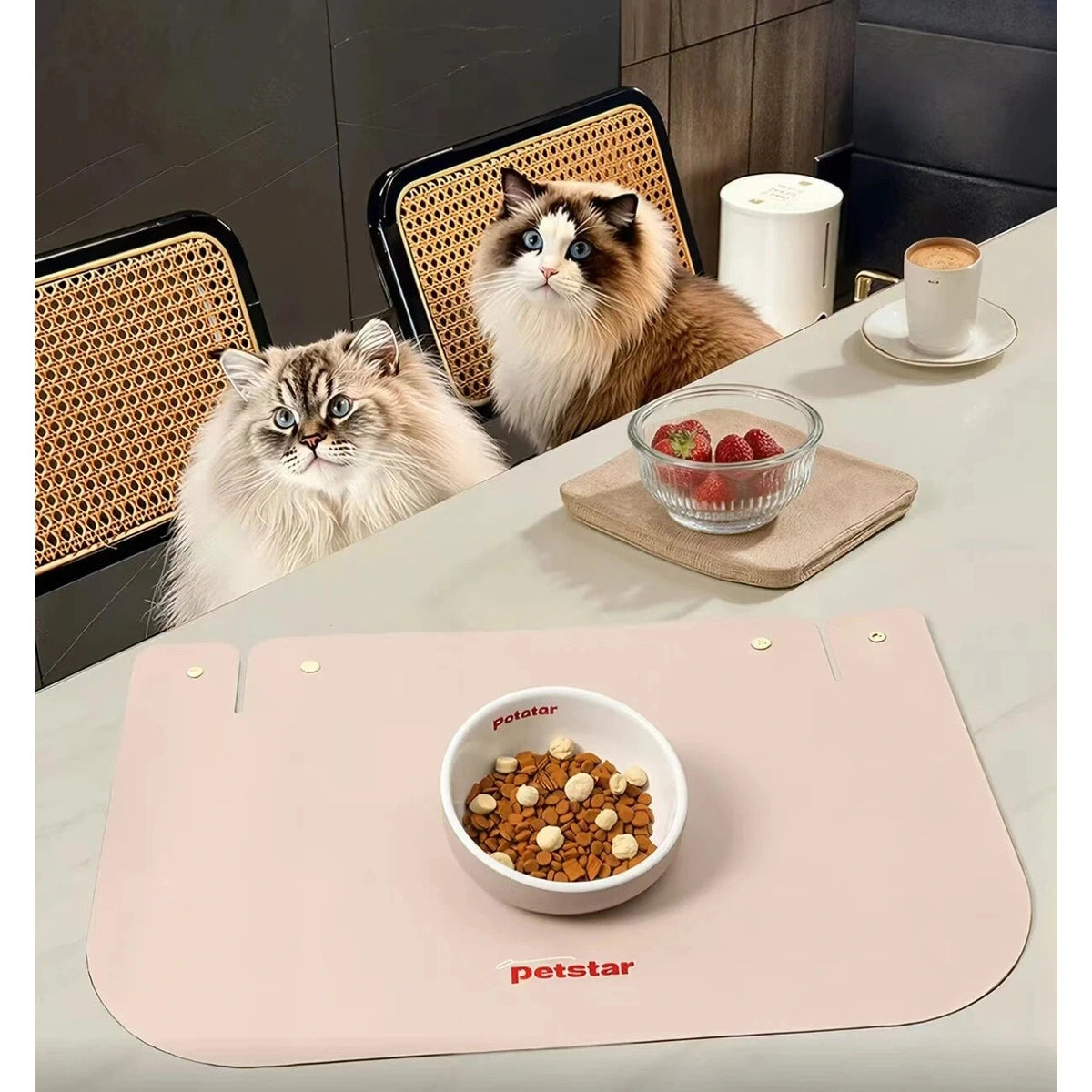 Petstar Elevated Ceramic Cat & Dog Bowl, Non-Spill Design