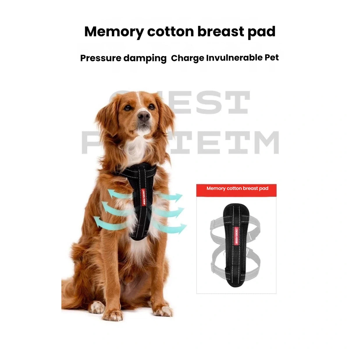 EzyDog Chest Plate Dog Harness