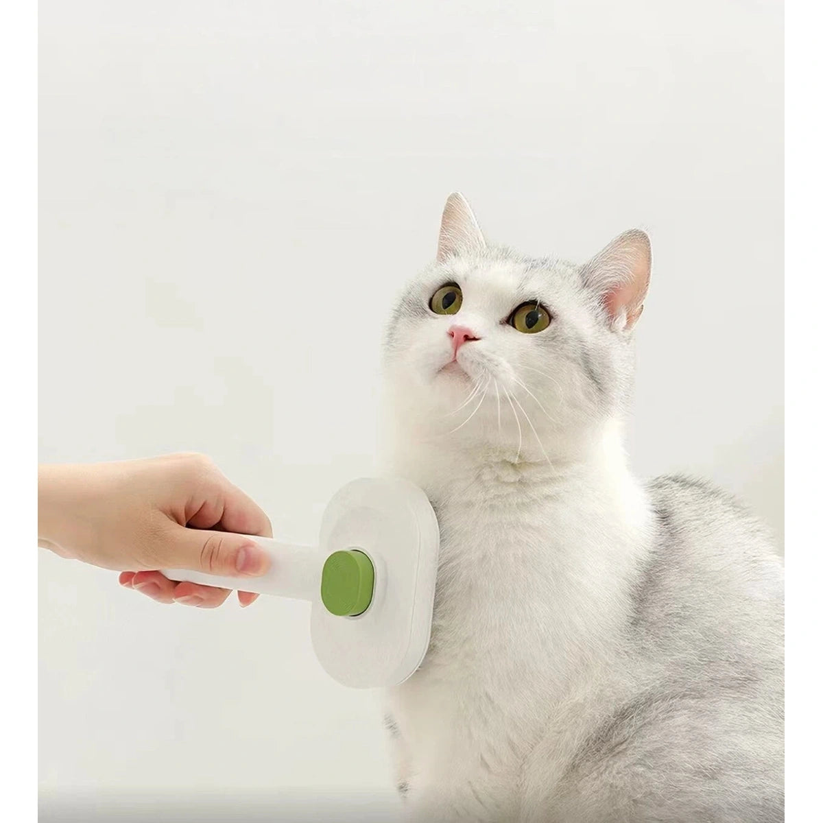 Cat being brushed with the white Petstar grooming brush