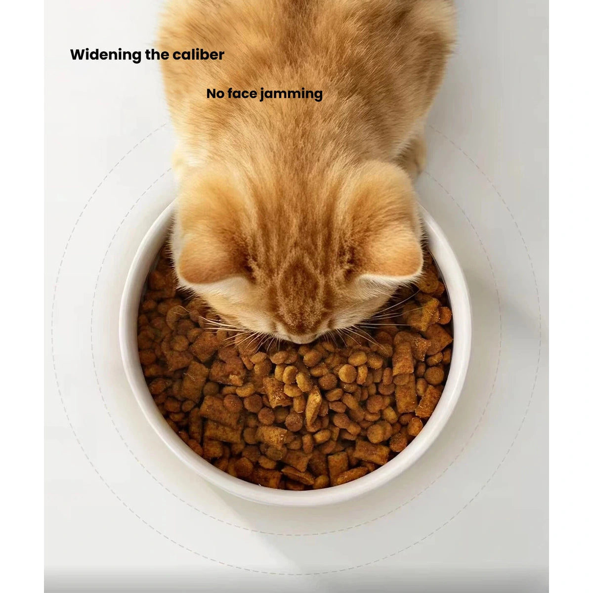 Cat eating from a wide Petstar ceramic bowl