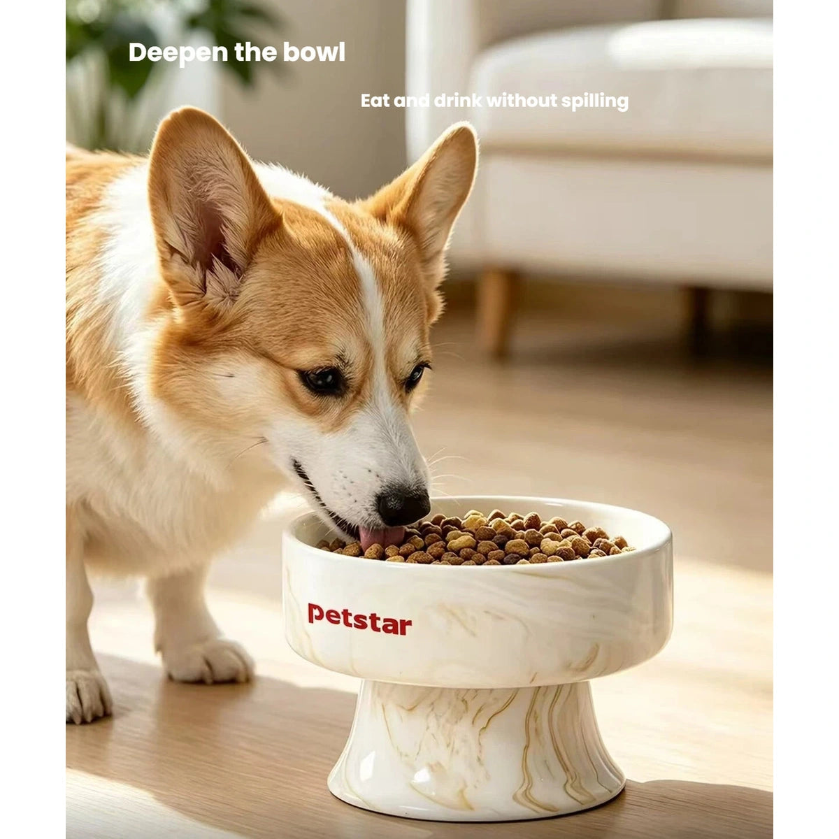 Dog eating from the elevated Petstar ceramic bowl