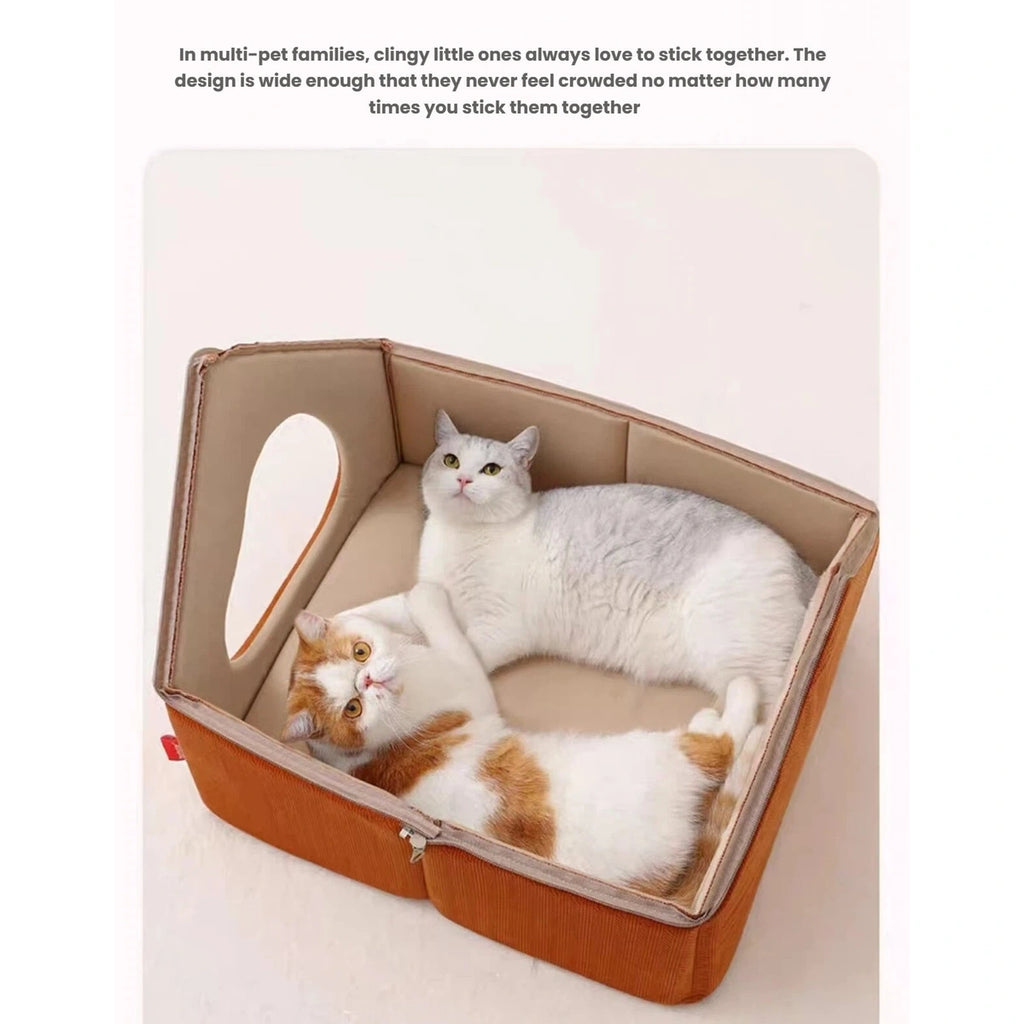 Two cats pictured in the Petstar Snow House with its roof removed
