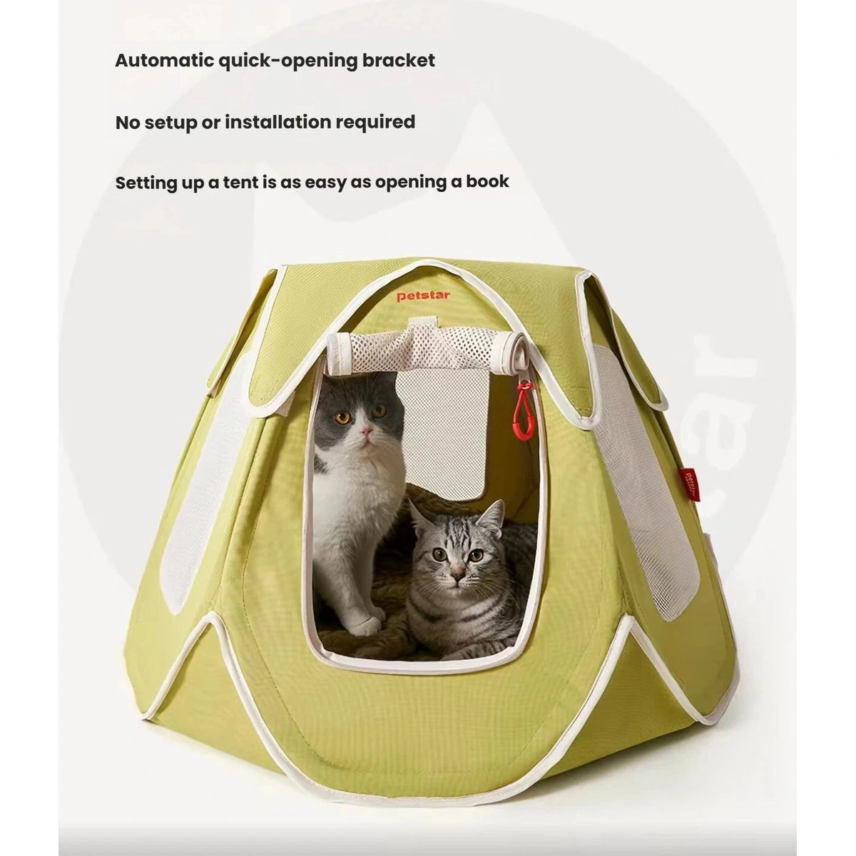 Two cats pictured in the Petstar tent with the front panel open