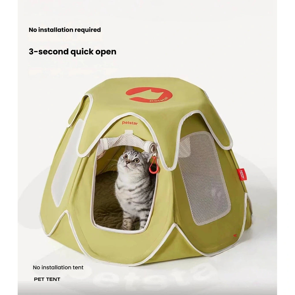 Tabby cat at the open front of the Petstar foldable tent