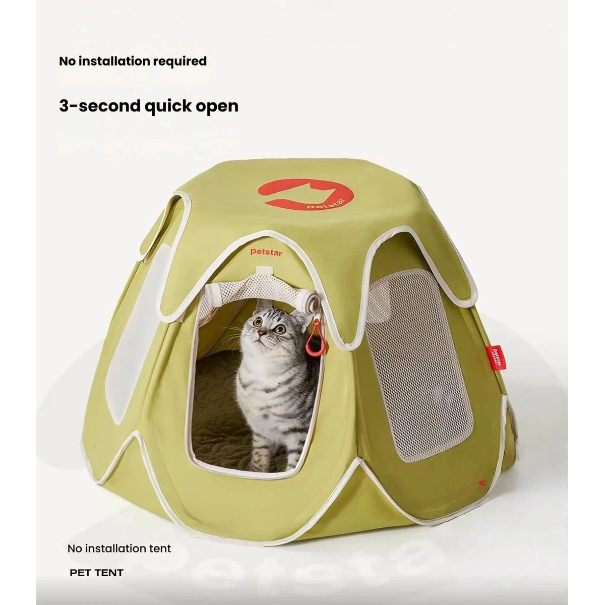Tabby cat at the open front of the Petstar foldable tent