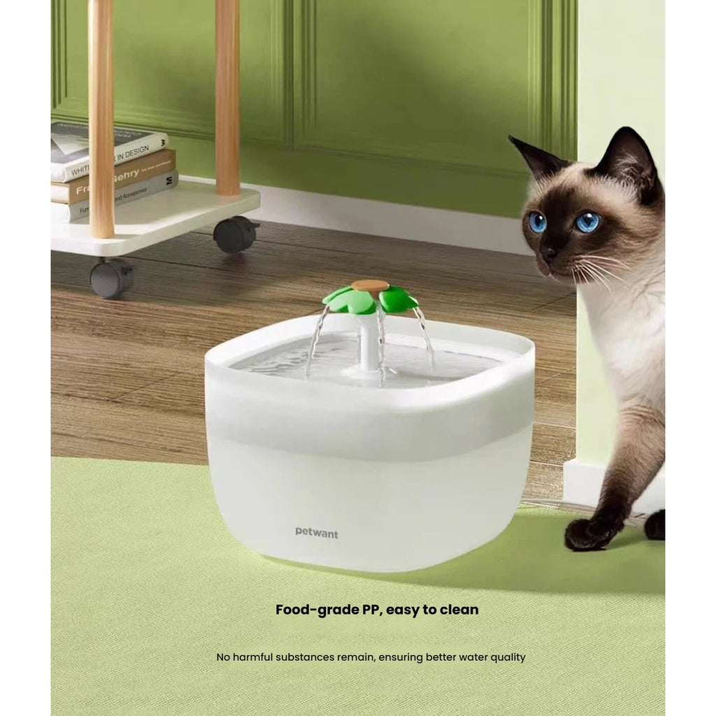 Cat beside the white Petwant flower water fountain