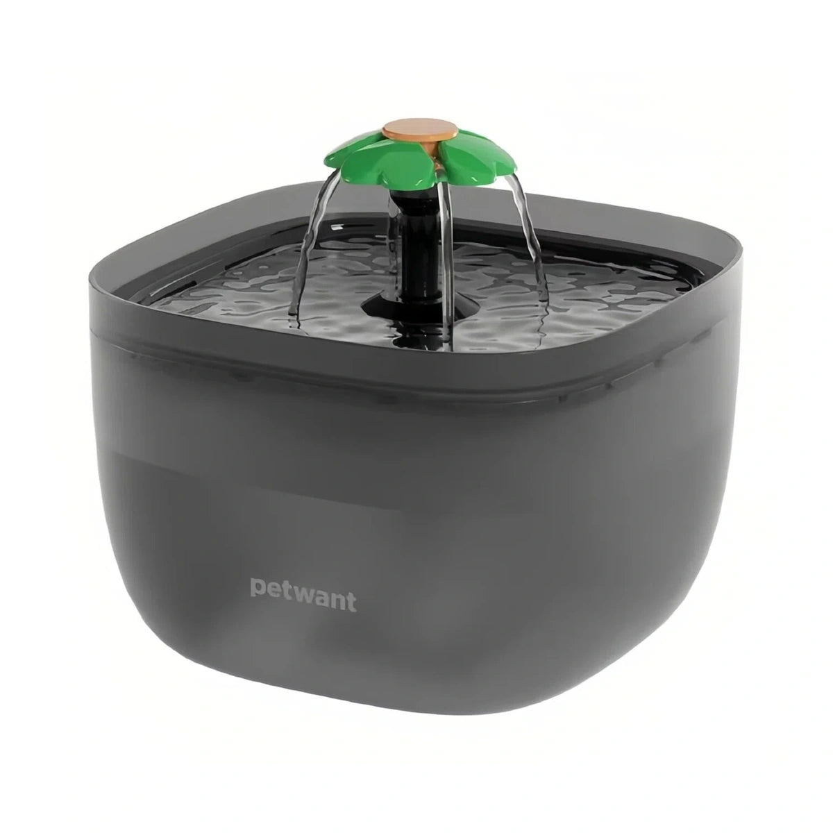 Black Petwant cat water fountain with a green flower-shaped spout
