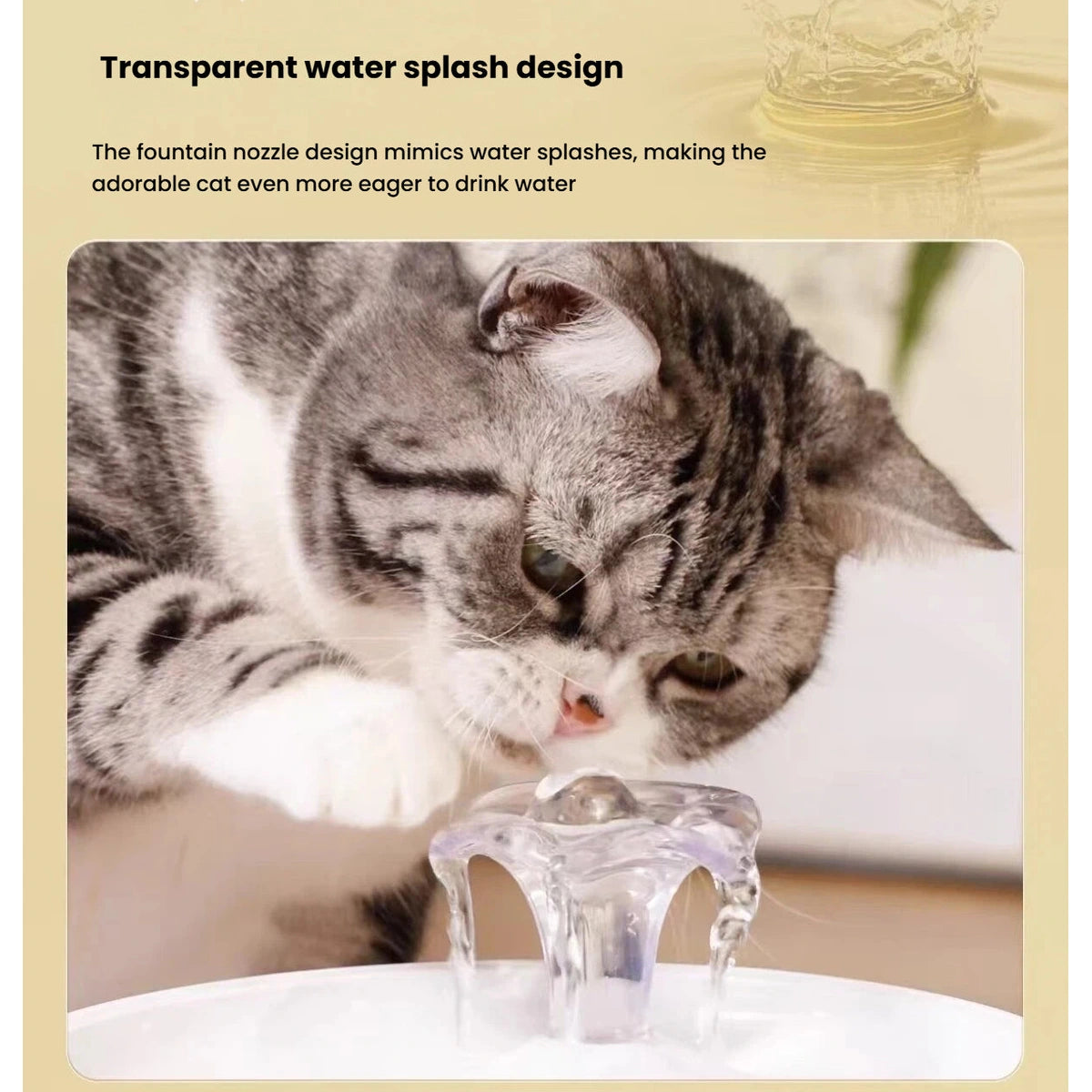 Tabby cat drinking from the clear outlet of the Petwant fountain