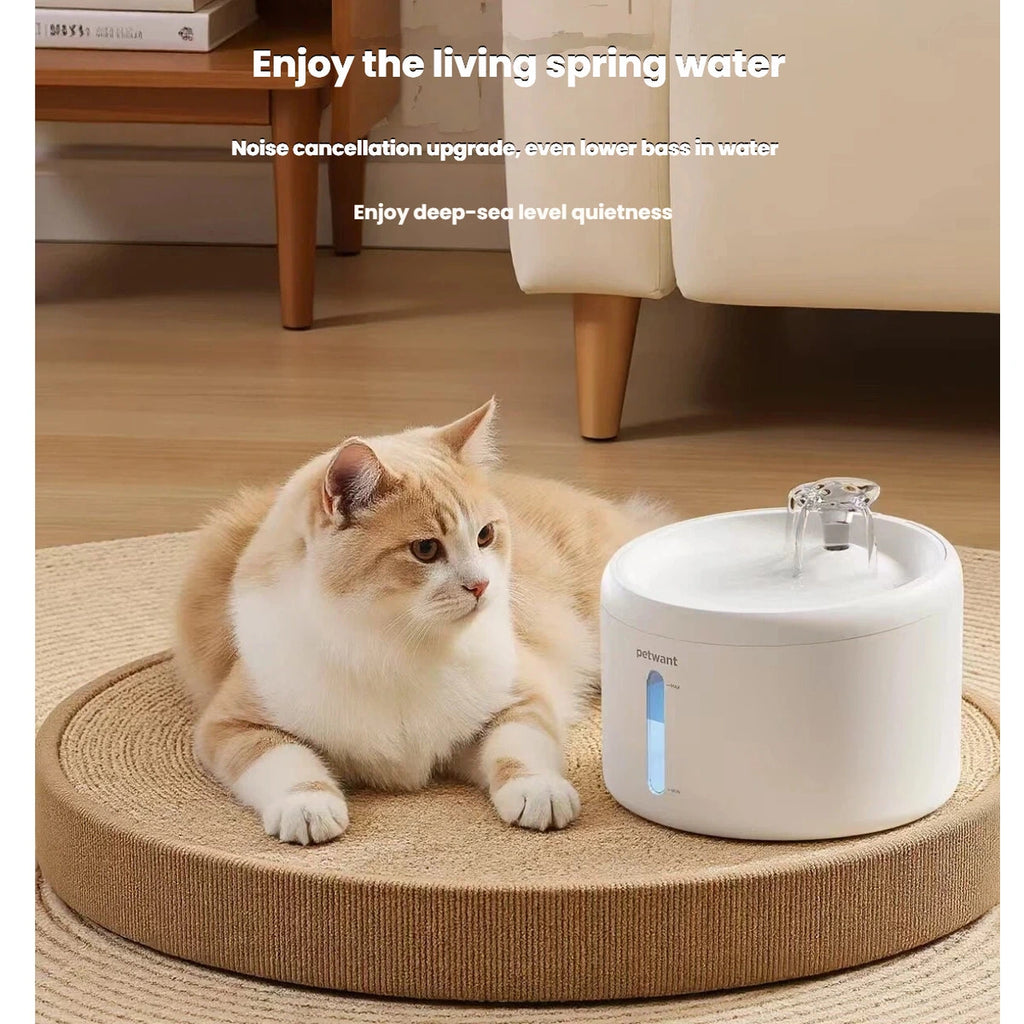 Ragdoll cat resting beside the white Petwant water fountain