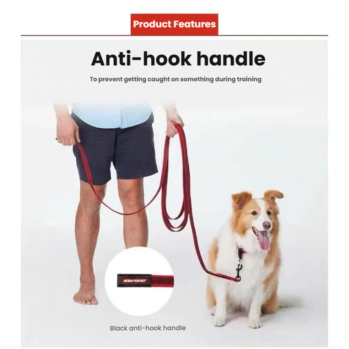 EzyDog Track n Train anti-snag handle shown during dog training