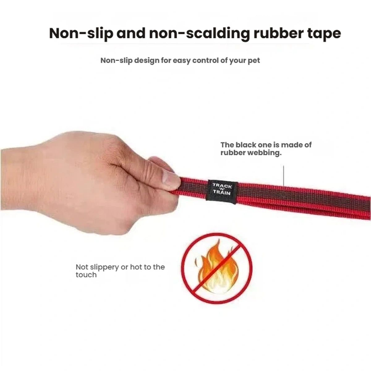 Close-up of the EzyDog Track n Train rubberised webbing