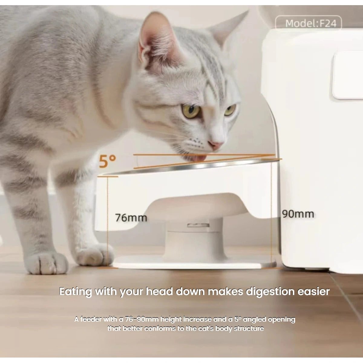 Petwant F24DC Dual-Meal Automatic Cat Feeder, Timed Feeding
