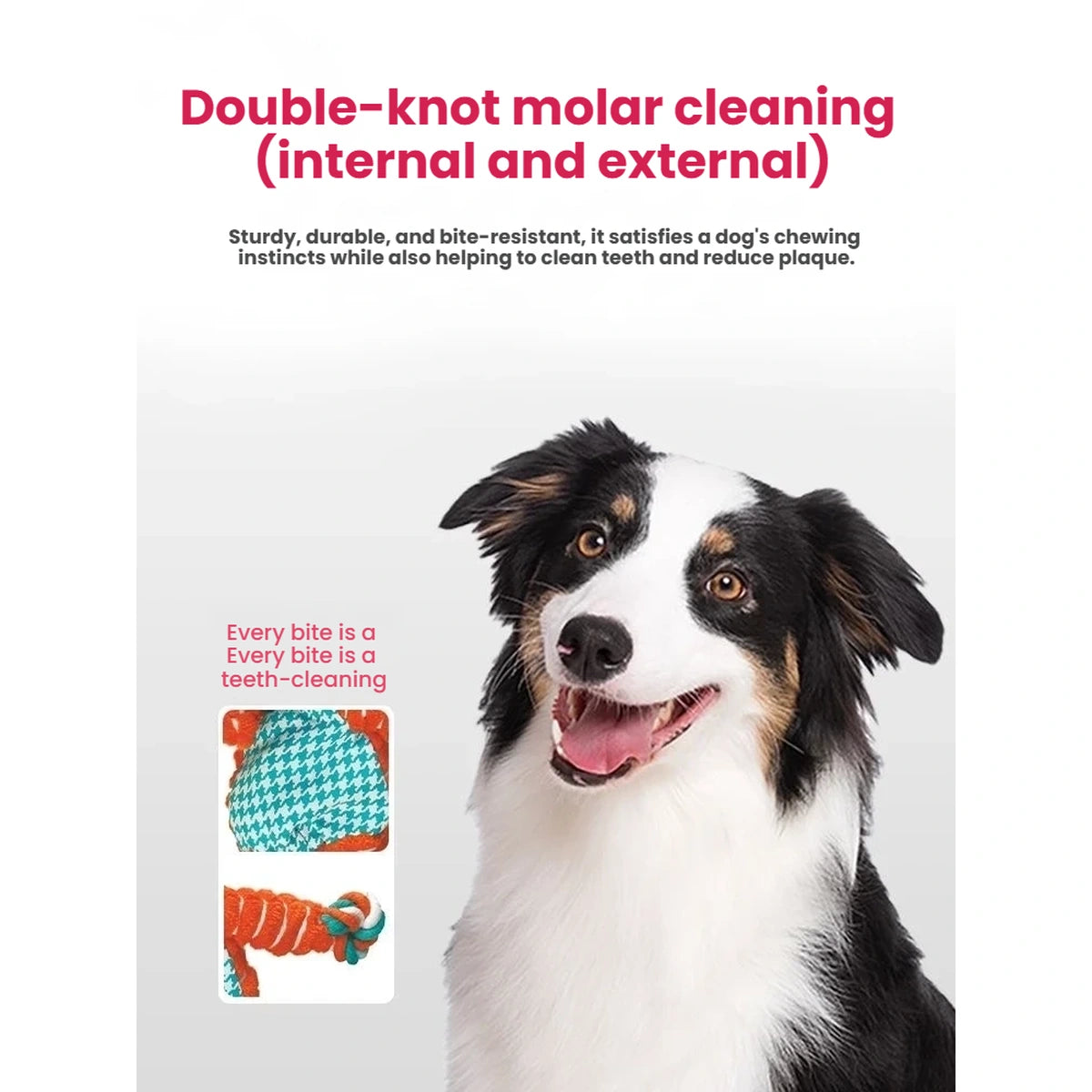 Dog beside a close-up of the KONG Floppy Knots Fox fabric and rope texture