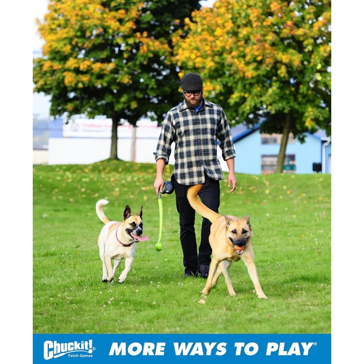 Person walking two dogs while holding a green Chuckit ball launcher