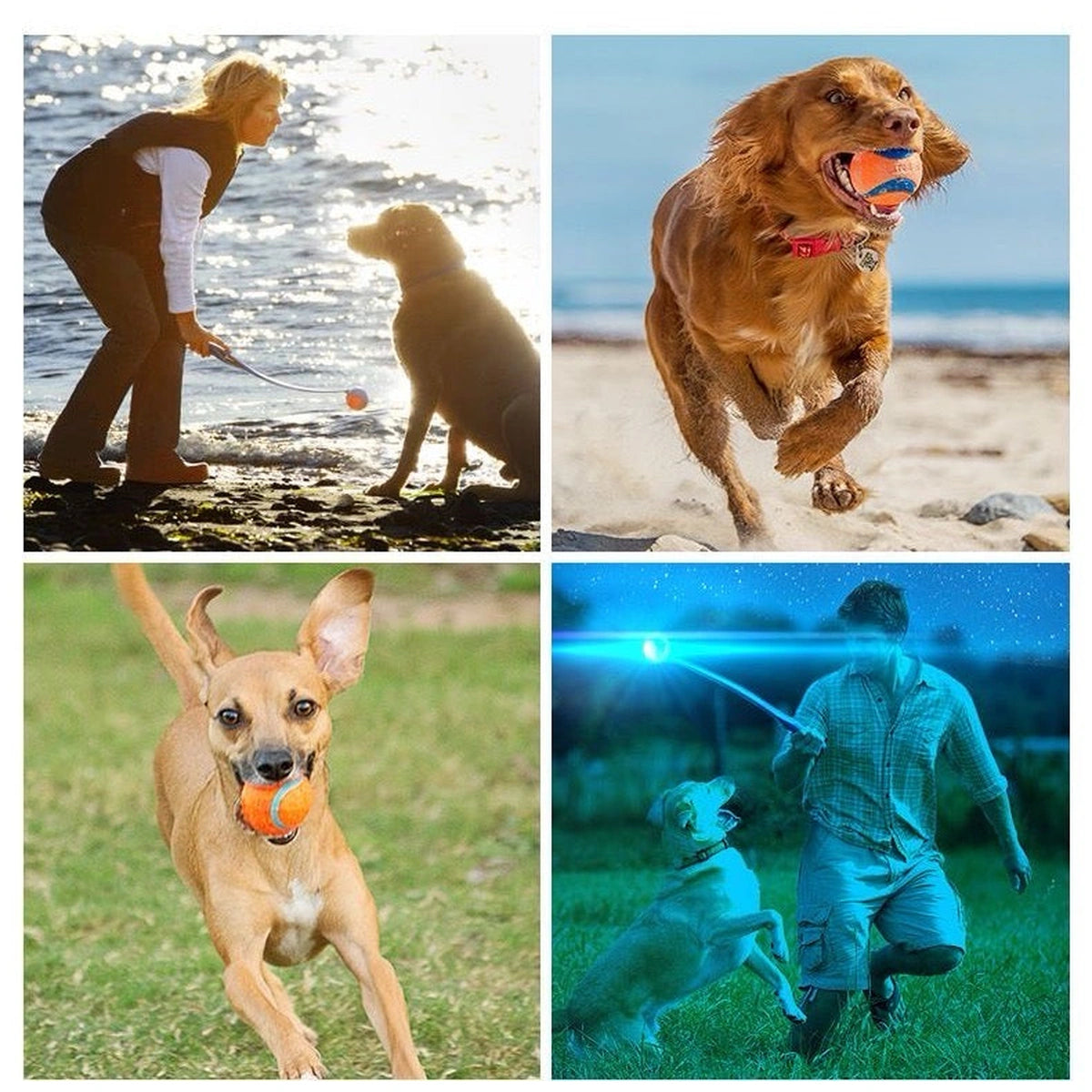 Collage of dogs and people playing fetch with Chuckit balls and launchers