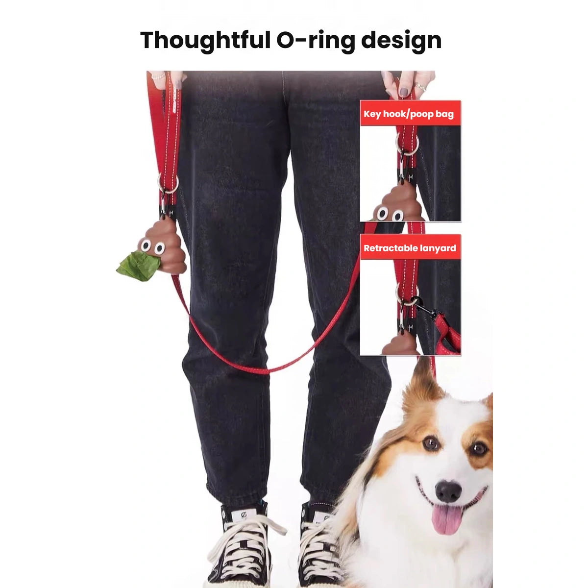 EzyDog Vario 4 O-ring shown holding walking accessories beside a dog