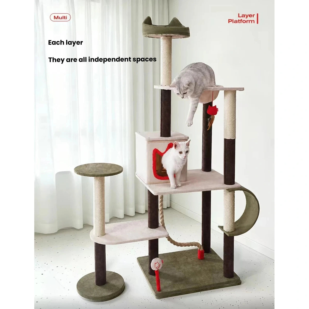 Cats using the platforms and hammock on the taller Petstar cat tree