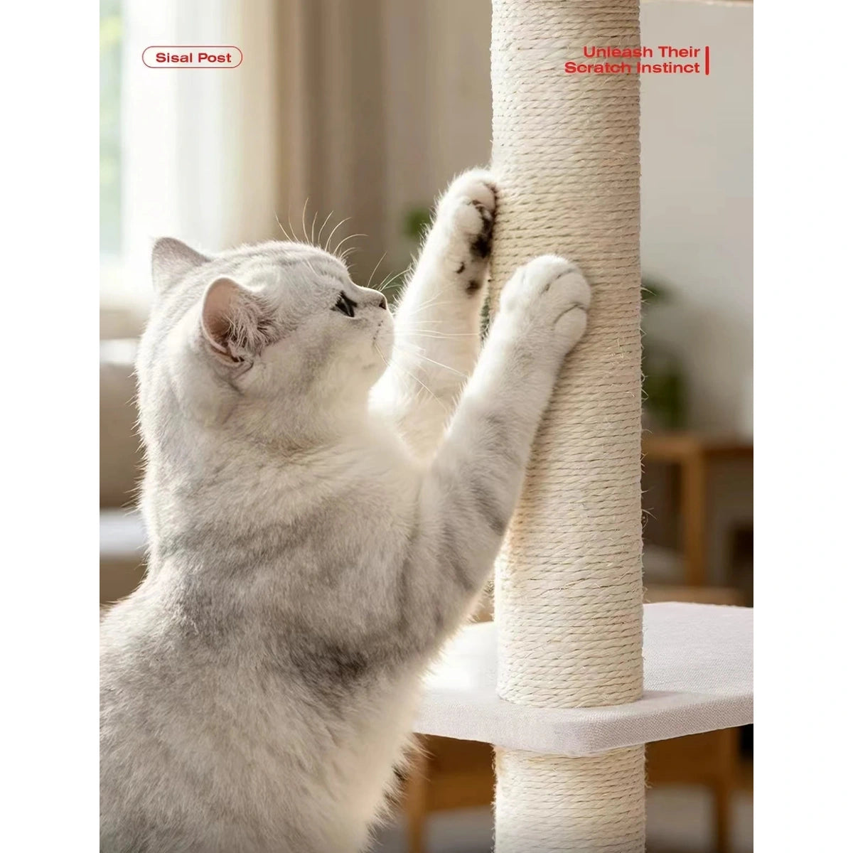 Cat scratching a rope-wrapped post on the Petstar cat tree