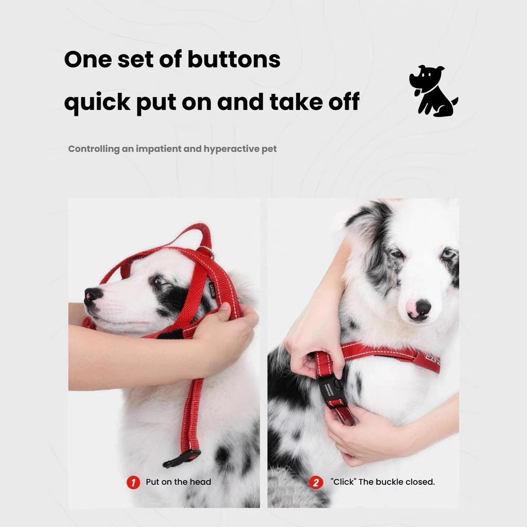 Two-step illustration of fitting and buckling an EzyDog Quick Fit harness