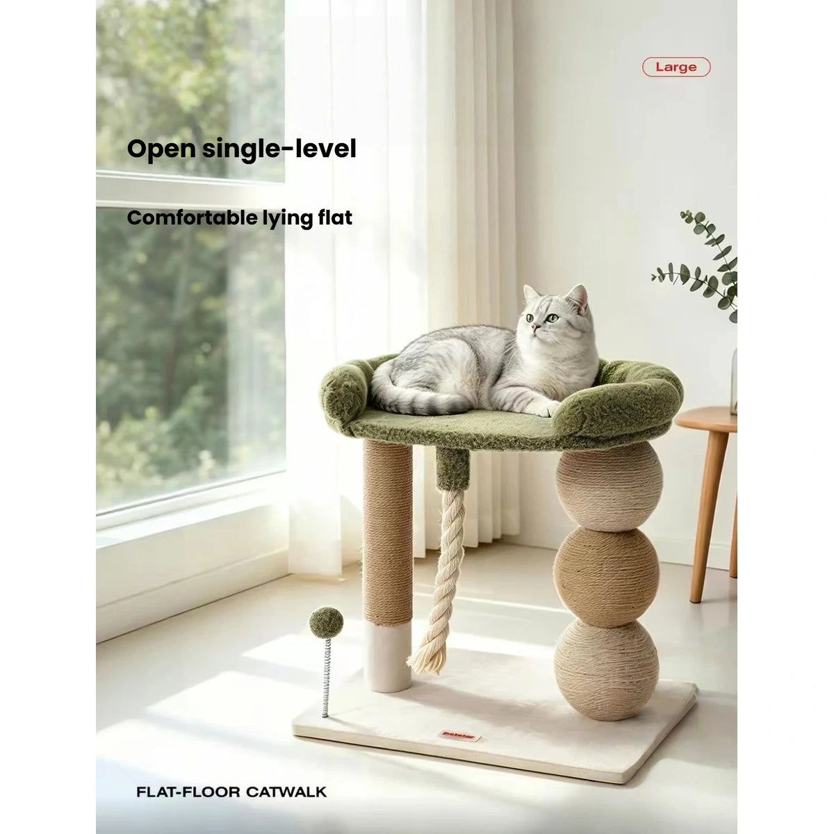 Cat lying on the padded green Petstar perch beside a window