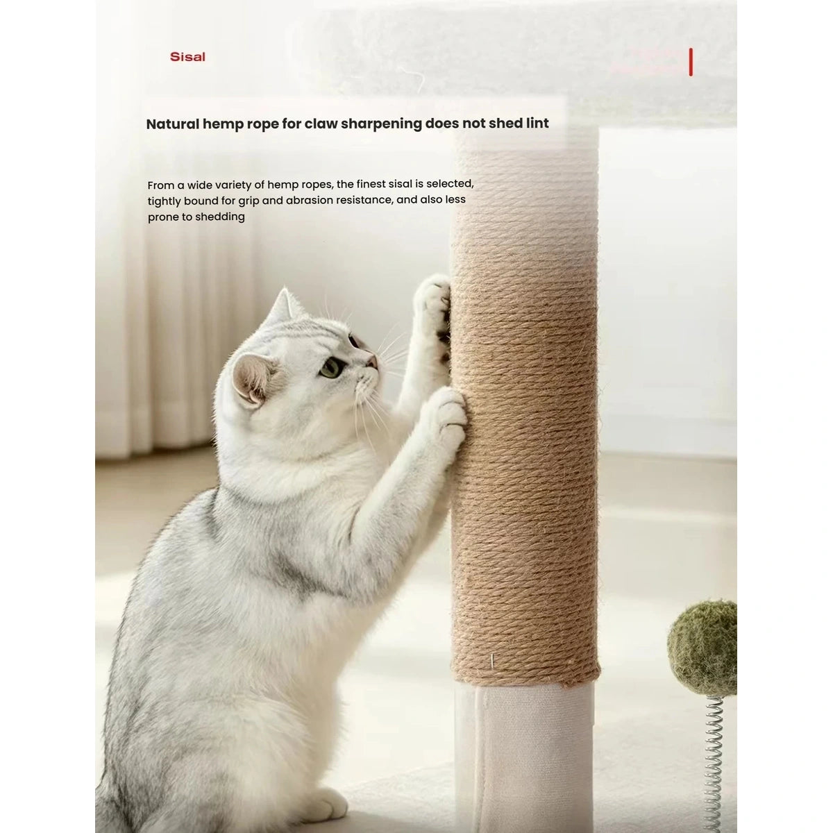 Close-up of a cat scratching the rope-wrapped Petstar post