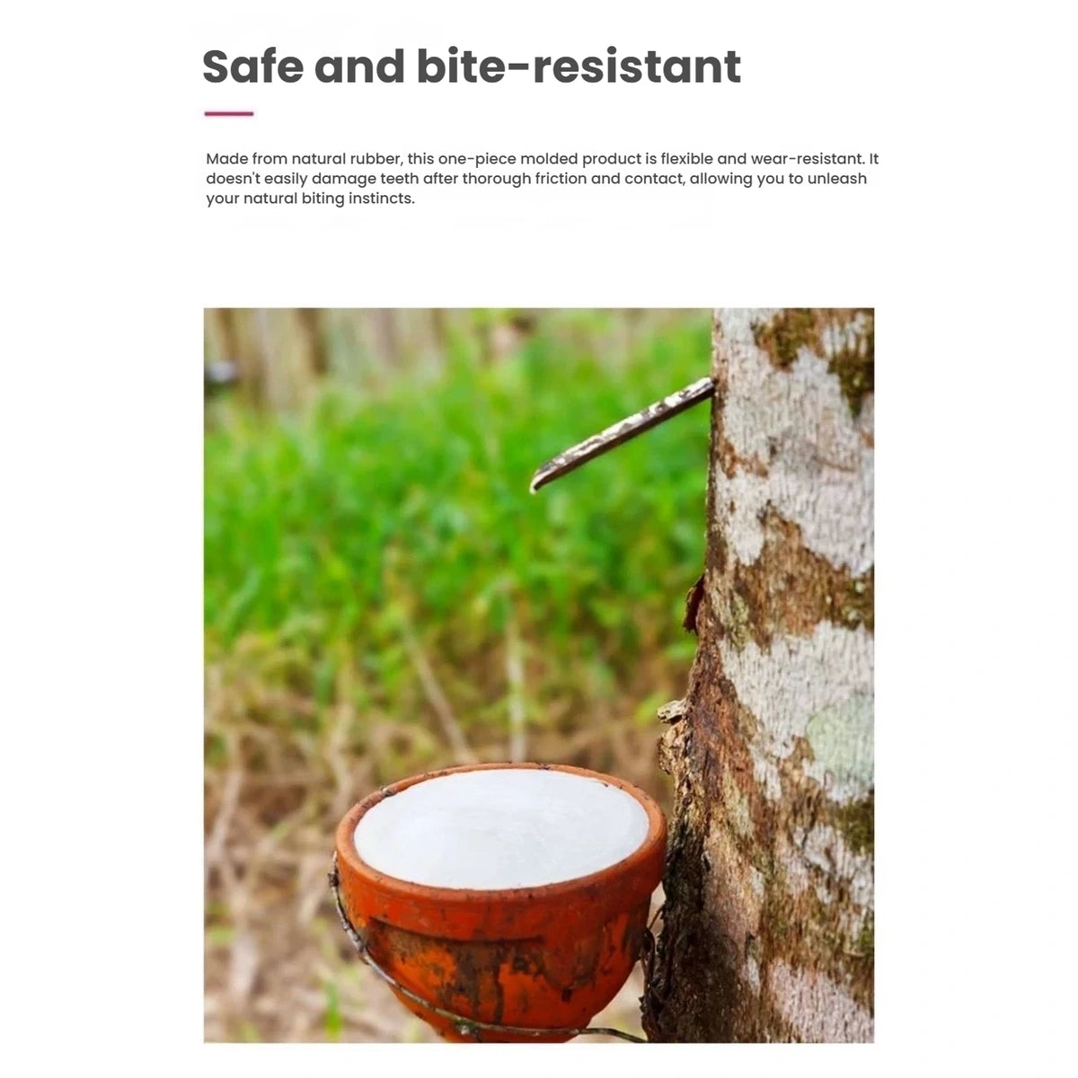 Rubber collection illustration accompanying KONG Extreme material information