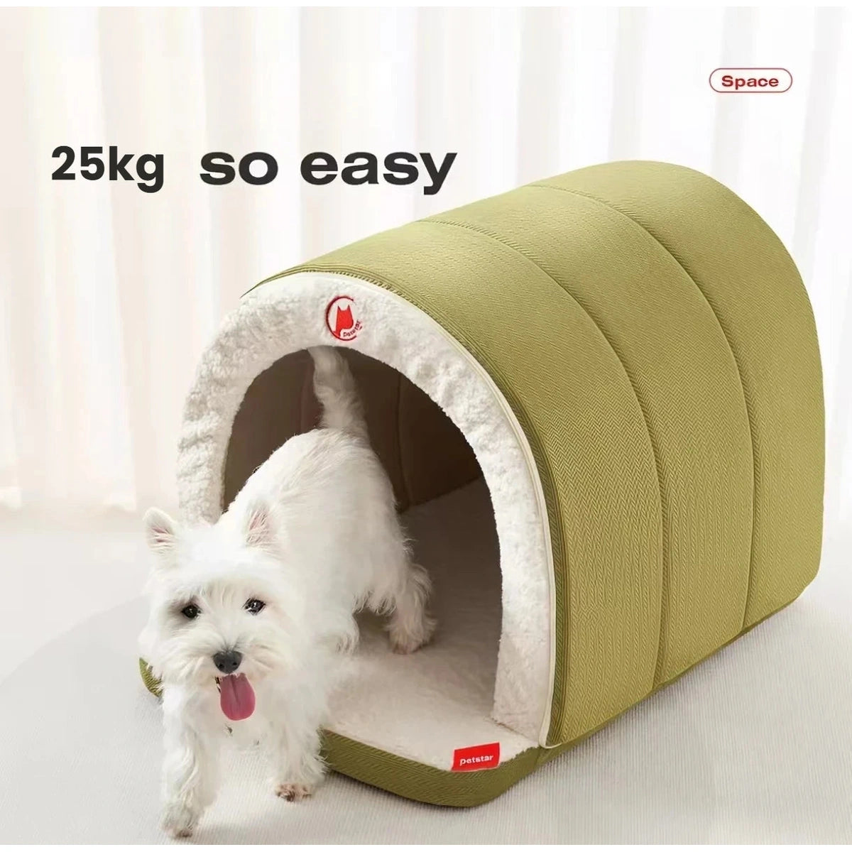 Small white dog standing in the entrance of a green Petstar tent bed