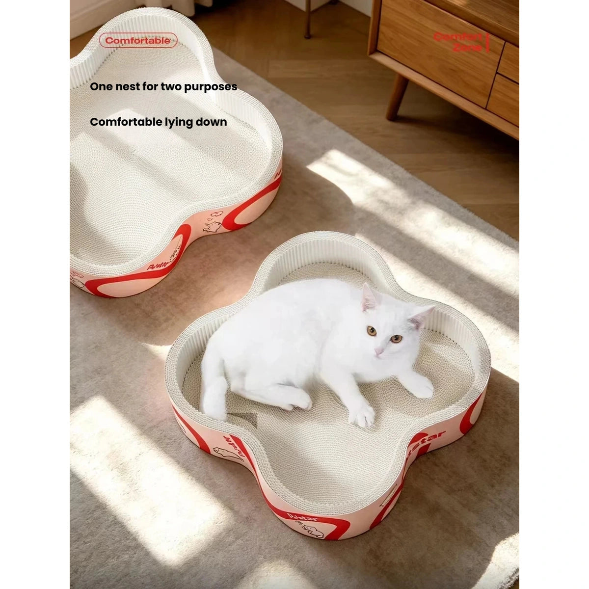 Two Petstar flower scratcher beds beside a window, one holding a cat