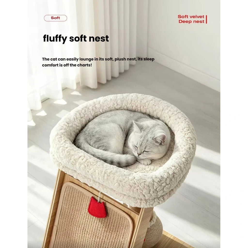 Close-up of a cat curled in the soft round perch