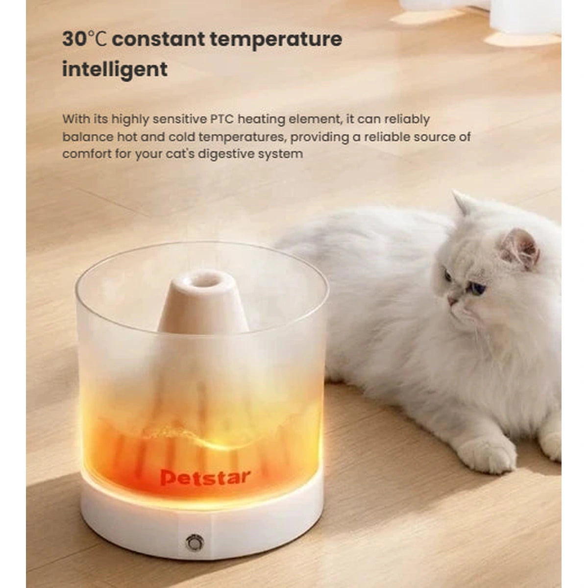 Illustration of a Petstar base warming a water container beside a cat