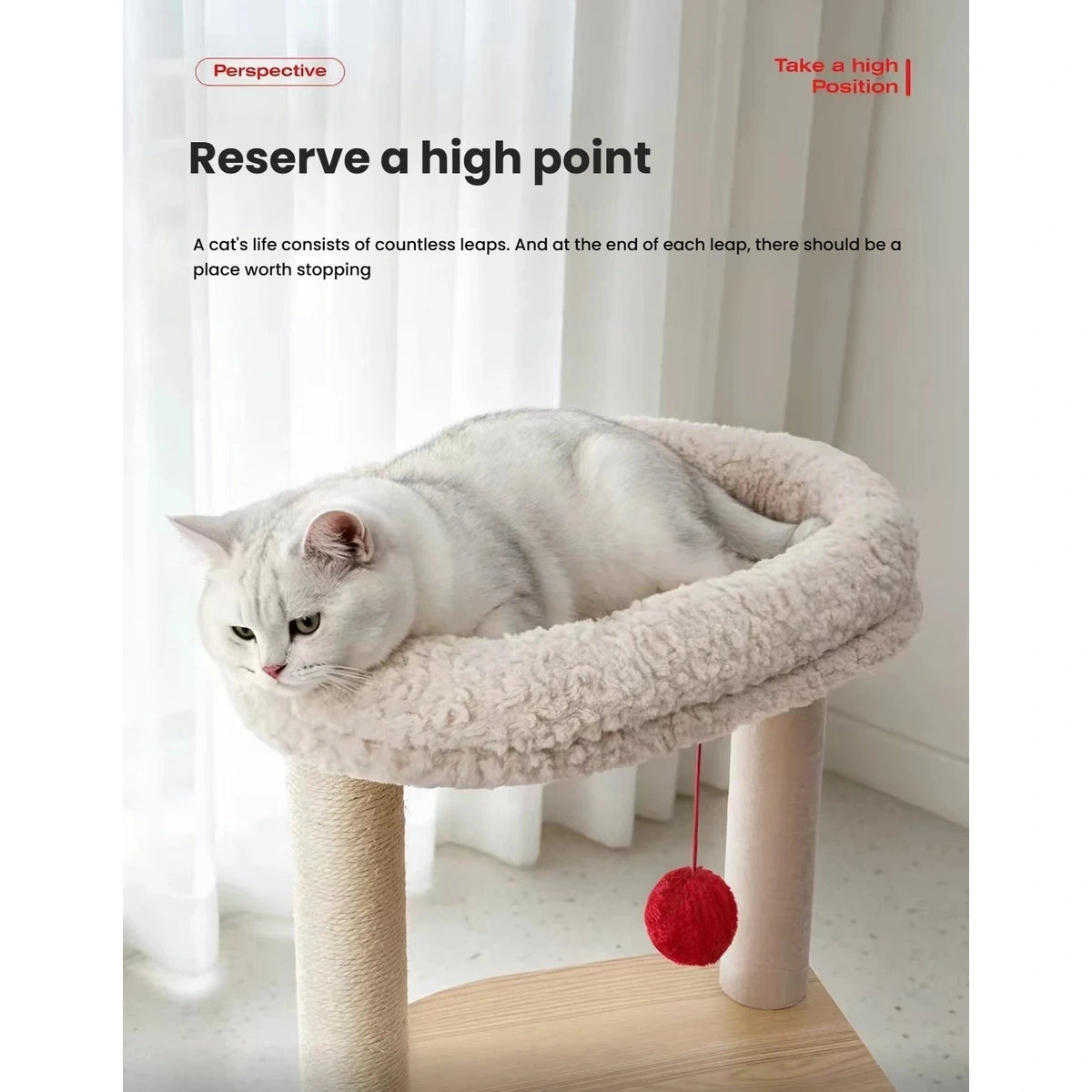 Cat resting on the high plush perch of the Petstar cat tree