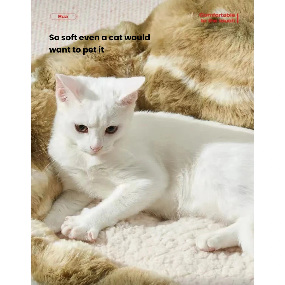 Close-up of a cat on the soft inner surface of the Petstar bed