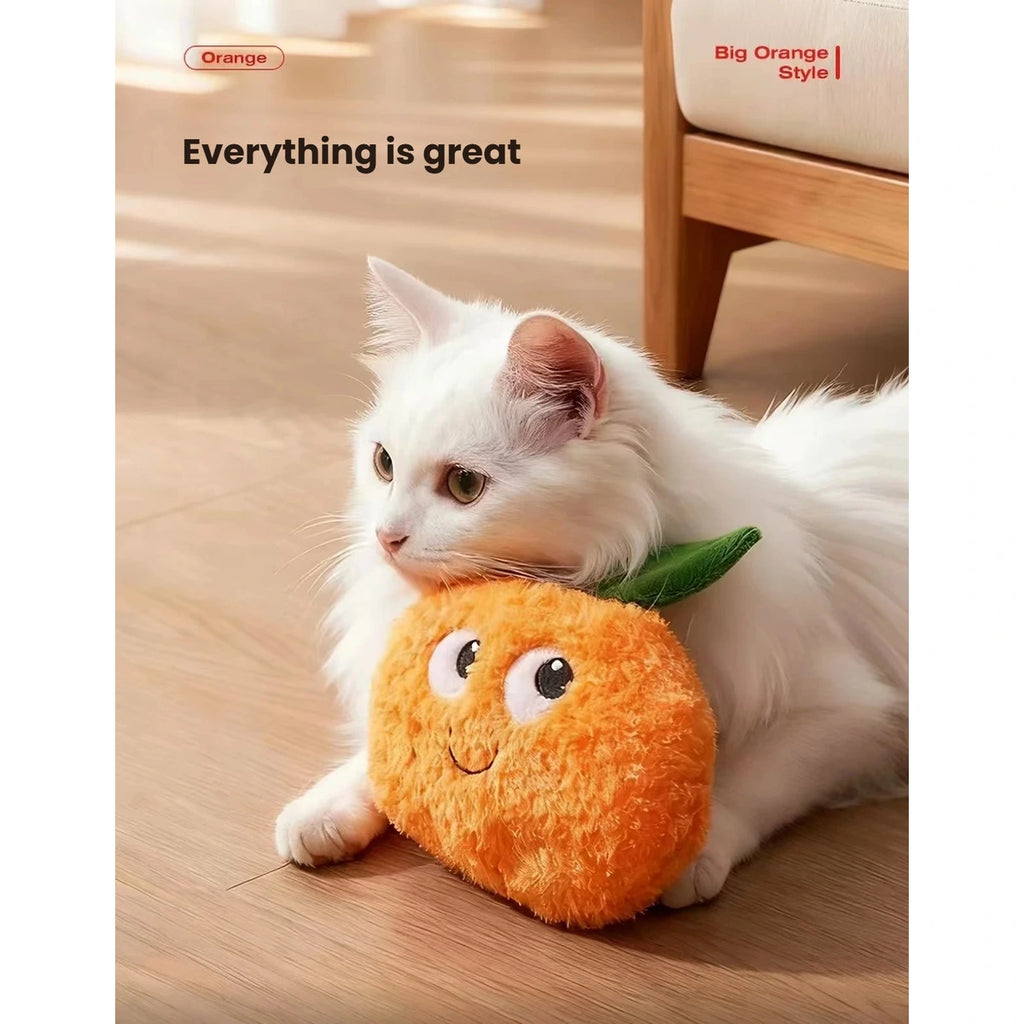 White cat holding the orange-shaped Petstar toy
