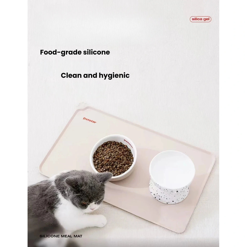 Cat beside a bowl on the wipe-clean silicone feeding mat