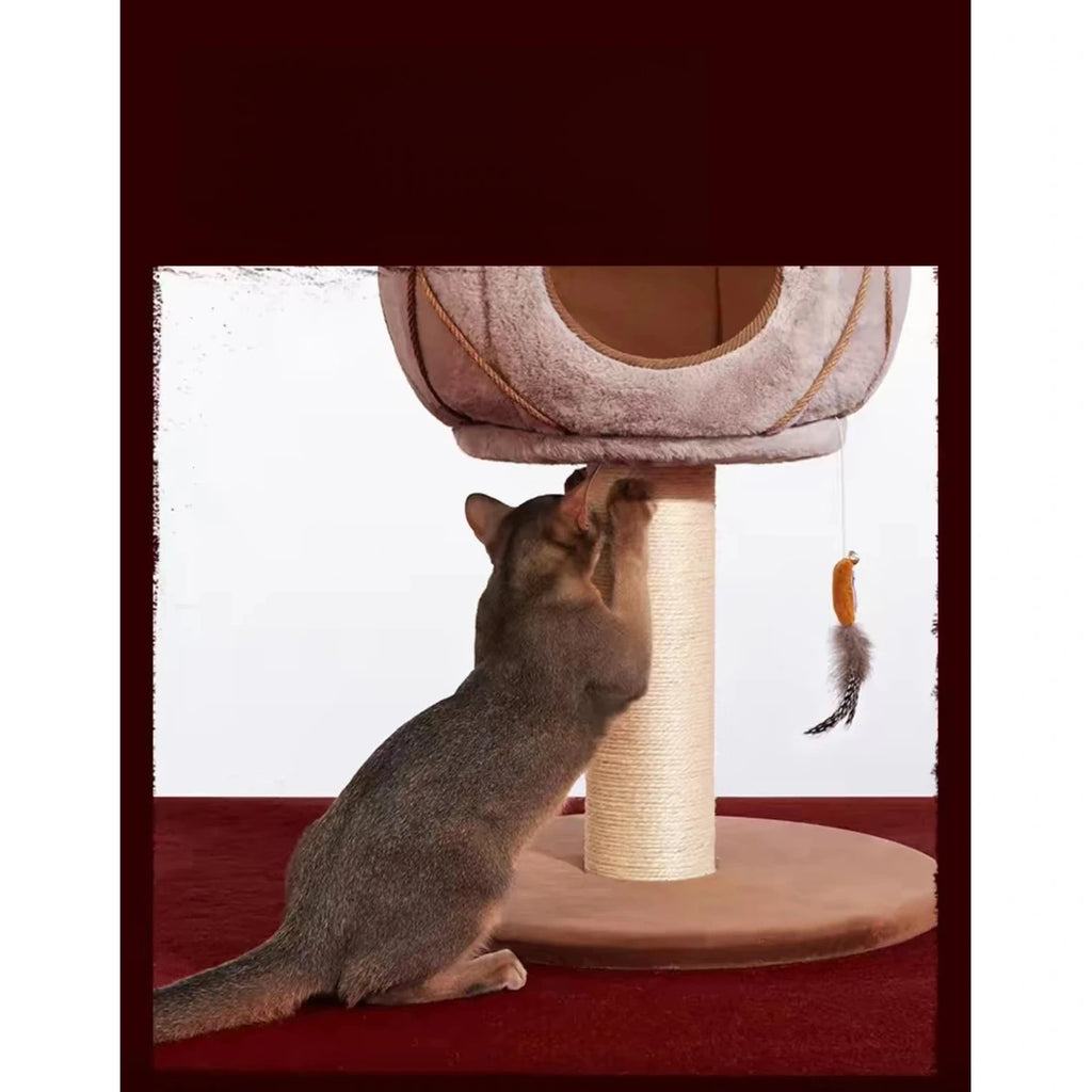 Cat reaching for the hanging toy under the platform