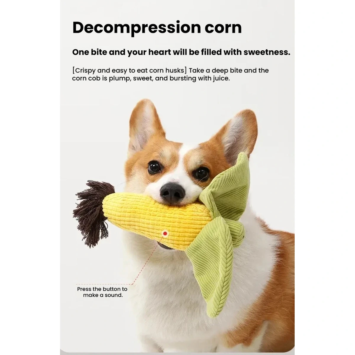 Dog holding the corn-shaped Petstar squeaky toy