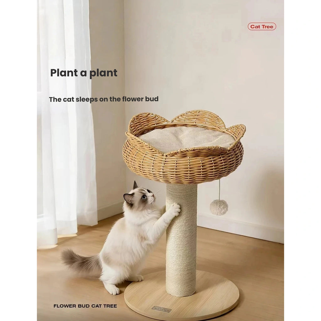 Cat standing beside the woven perch cat tree