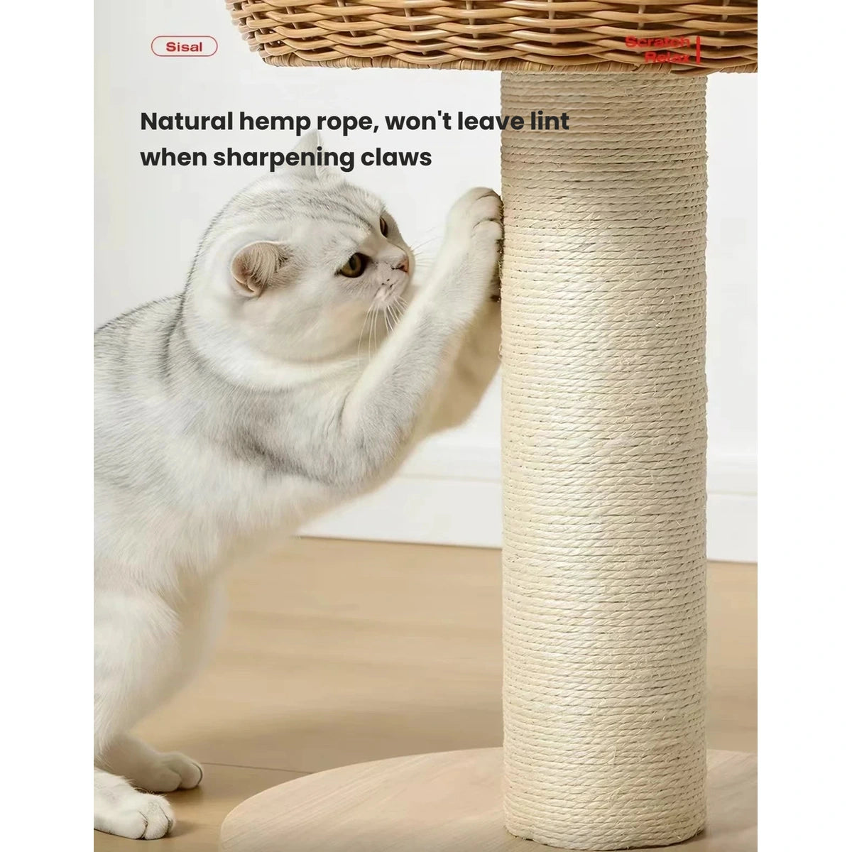 Large cat scratching the sisal-wrapped post