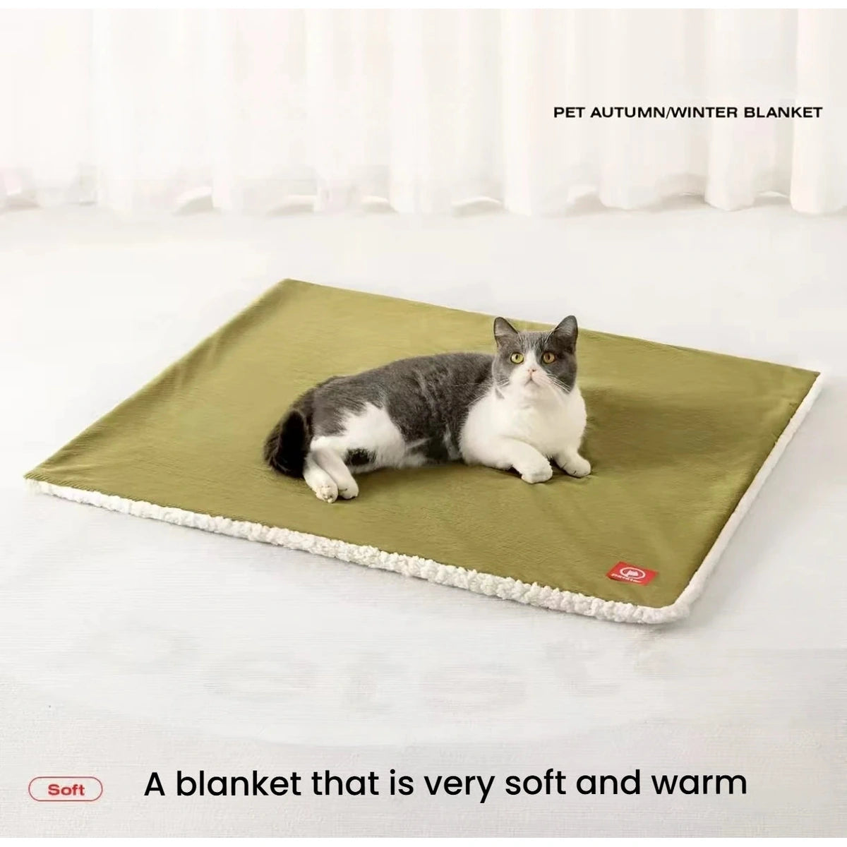 Cat resting on the green side of the Petstar blanket