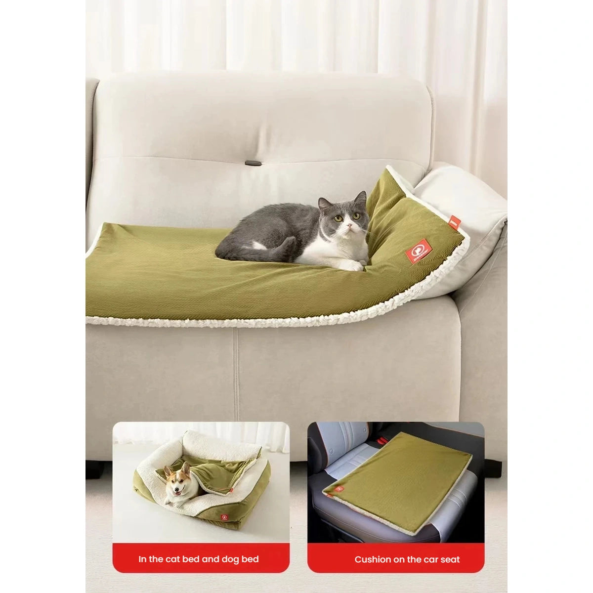 Petstar blanket shown on a sofa, chair and pet bed